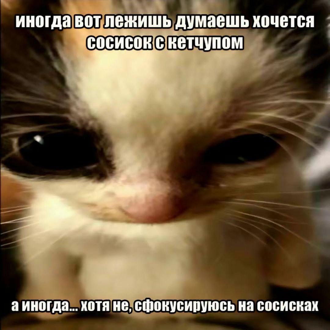 2025 11 28 00 03 23@beeeeeboooooo