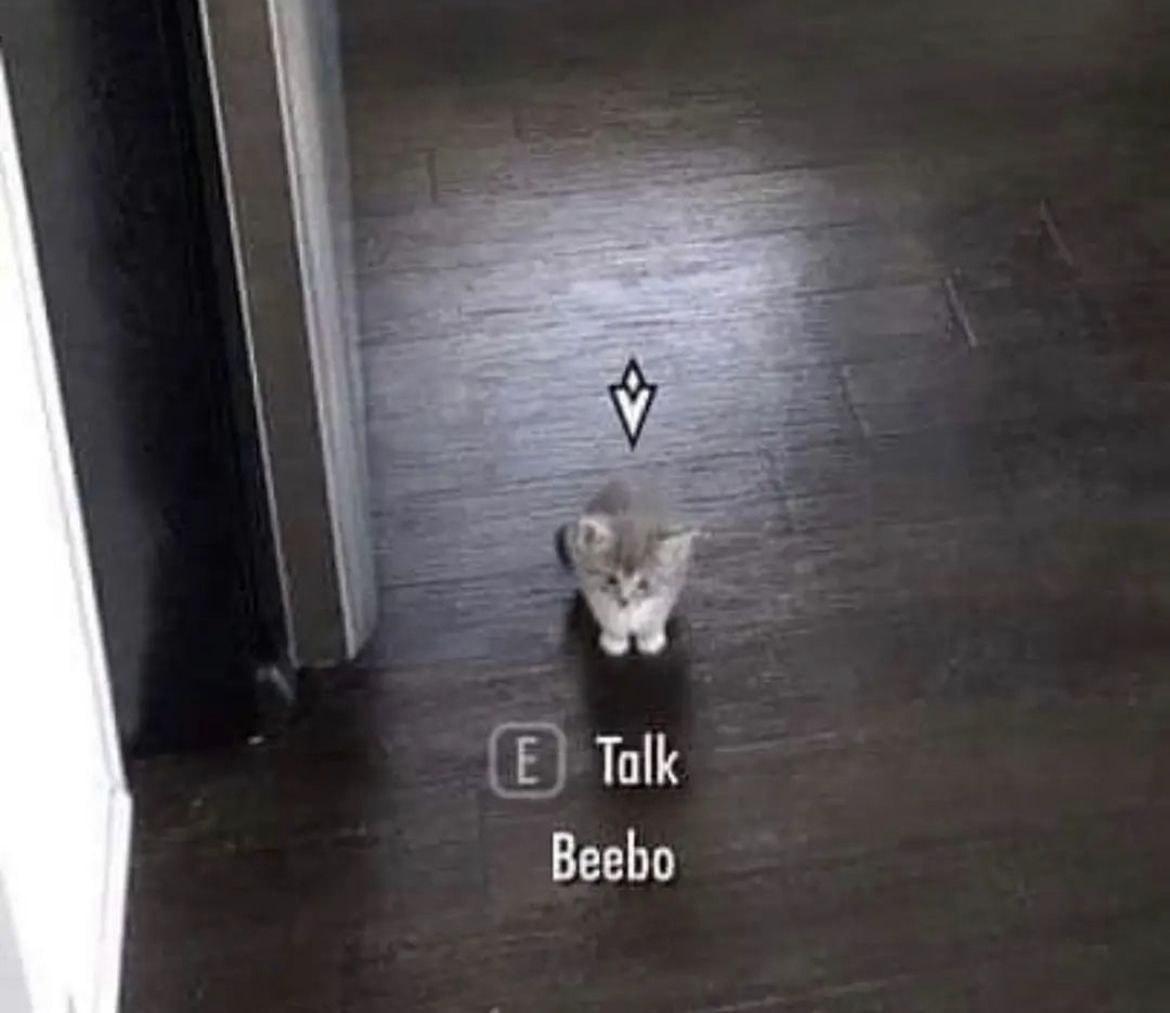 2025 11 28 00 09 39@beeeeeboooooo