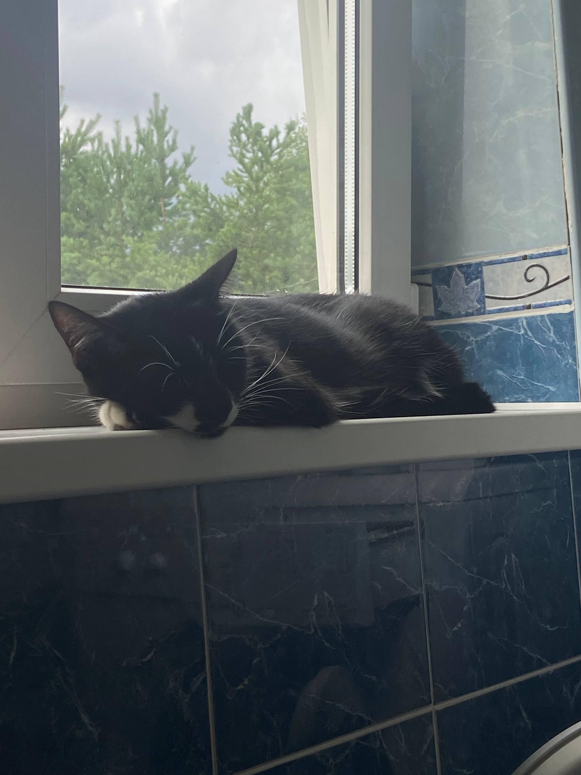 2025 11 29 22 17 45@beeeeeboooooo