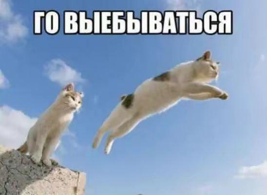 2025 12 01 09 37 581038035009