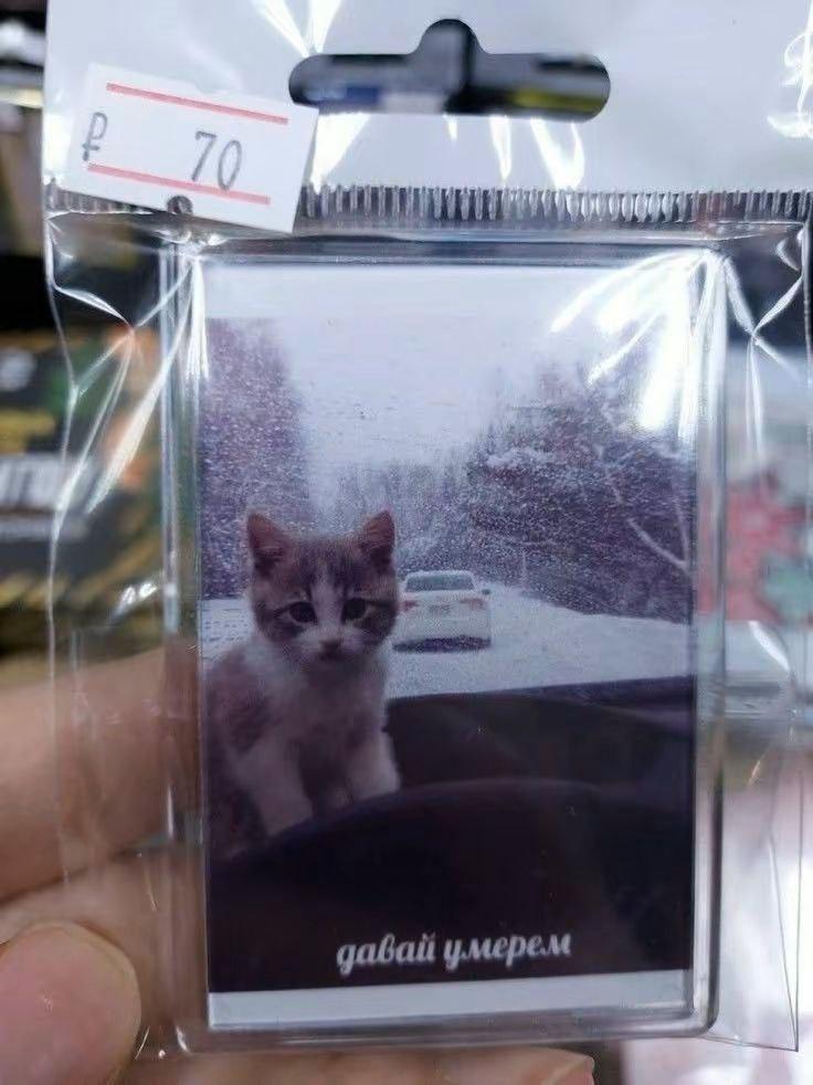 2025 12 02 10 42 251038035009