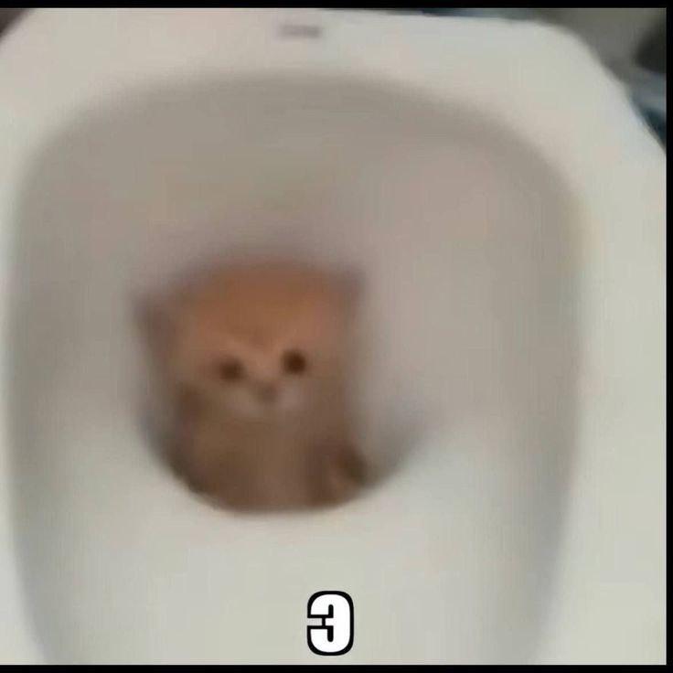 2025 12 05 23 29 301807799461