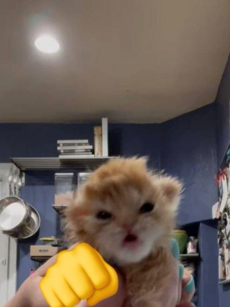 2025 12 05 23 30 151807799461