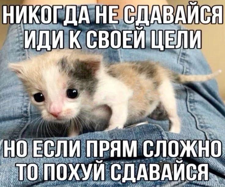 2025 12 05 23 30 471807799461