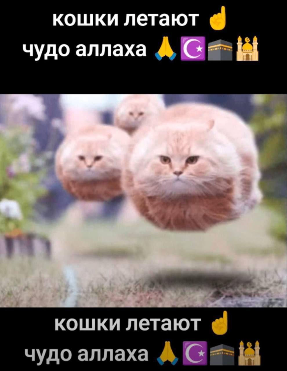 2025 12 05 23 34 311807799461