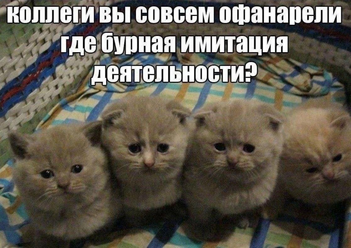 2025 12 05 23 38 251807799461