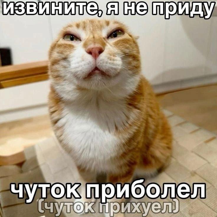 2025 12 05 23 40 061807799461