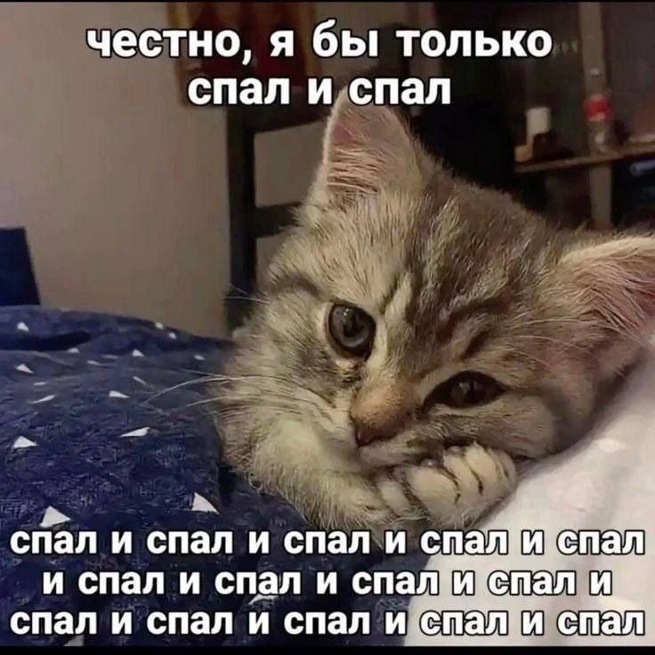 2025 12 05 23 40 151807799461