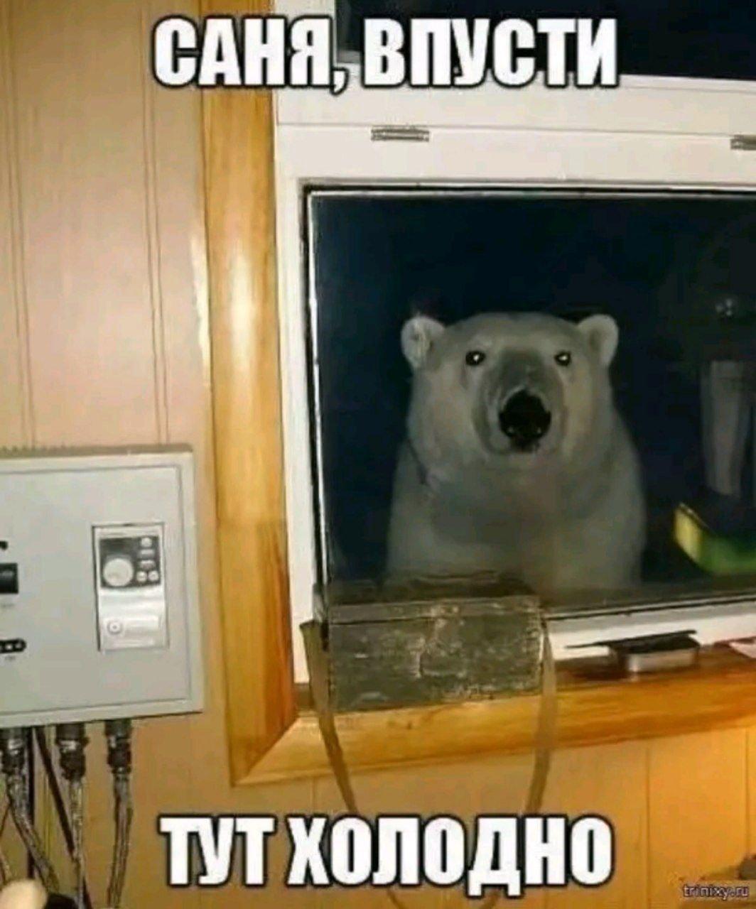 2025 12 08 00 49 091807799461