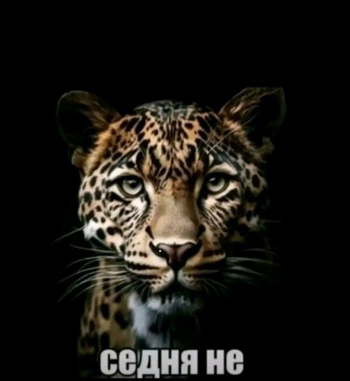 2025 12 08 00 57 371038035009