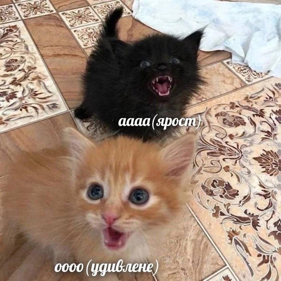 2025 12 08 01 04 11658351981