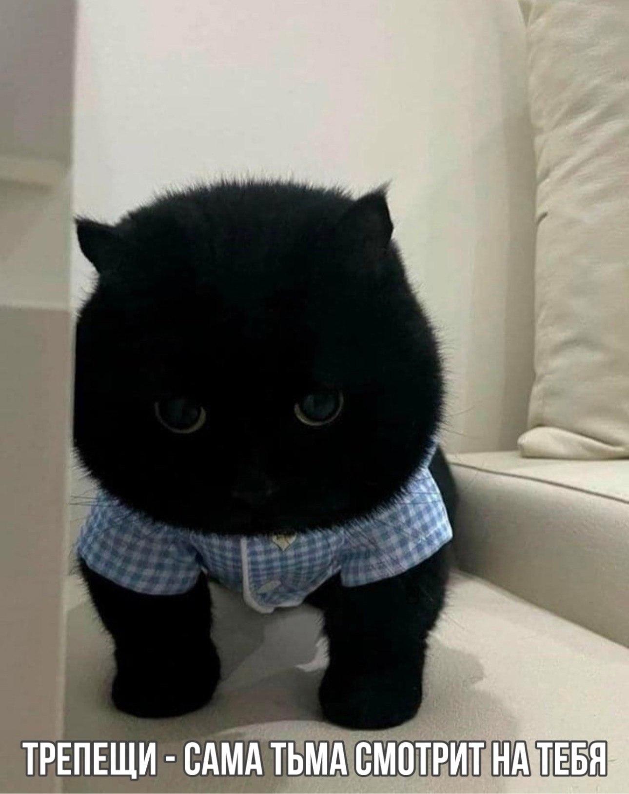 2025 12 08 01 04 17658351981