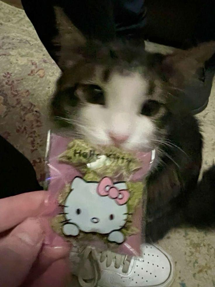 2025 12 09 15 50 451038035009