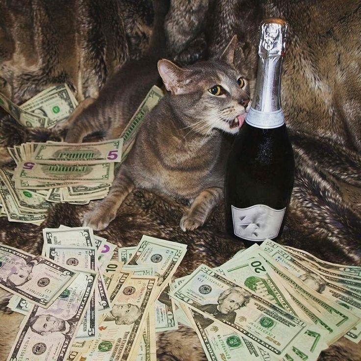 2025 12 09 16 03 351038035009