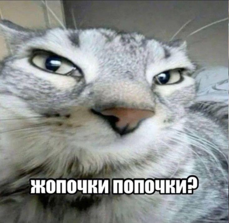 2025 12 10 16 48 541038035009