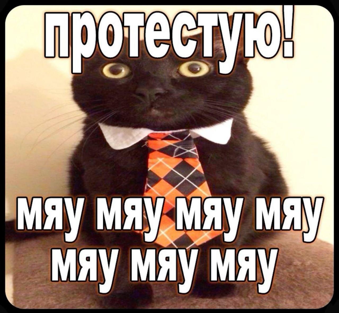 2025 12 12 16 36 581807799461