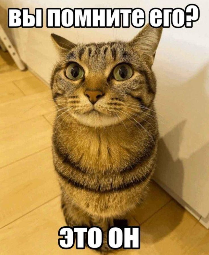 2025 12 12 16 47 211807799461