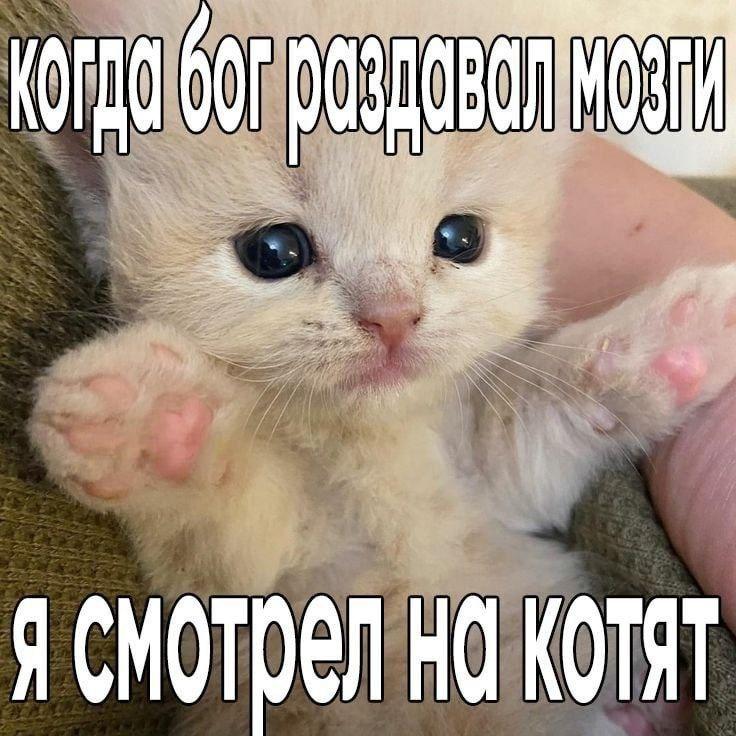 2025 12 12 18 05 021807799461