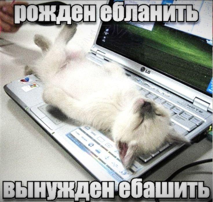 2025 12 12 18 05 331807799461