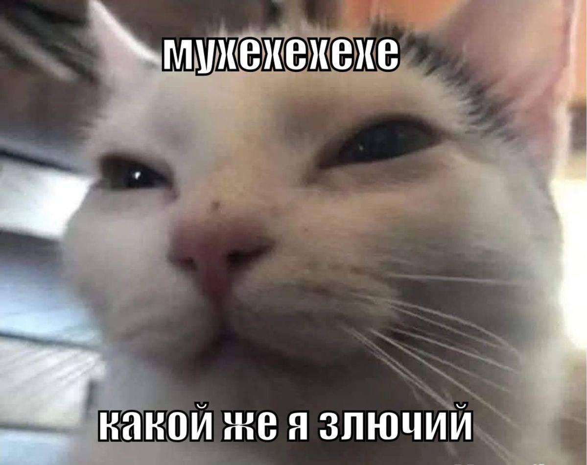 2025 12 12 18 09 411807799461