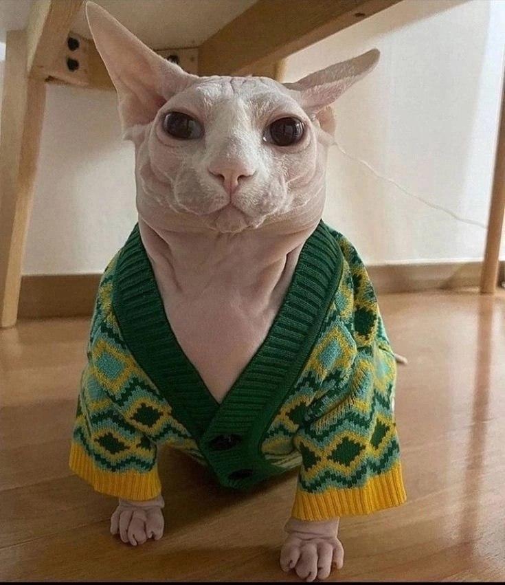 2025 12 16 00 49 491807799461