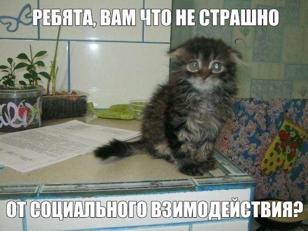 2025 12 16 01 02 371807799461