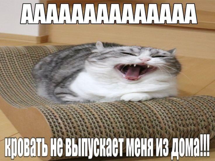 2025 12 16 01 02 411807799461