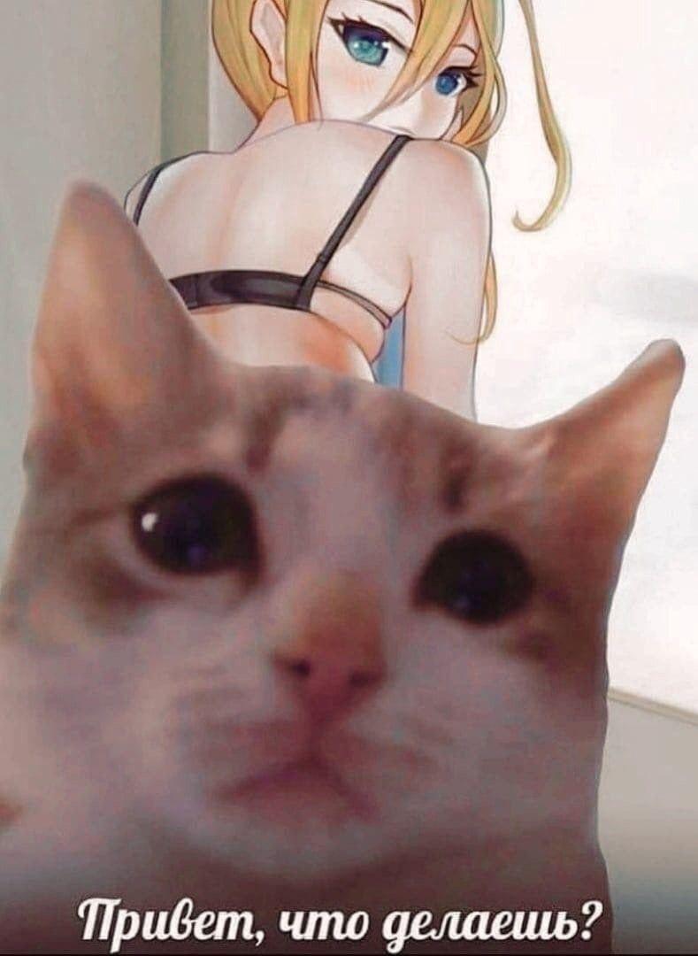 2025 12 16 01 02 501807799461