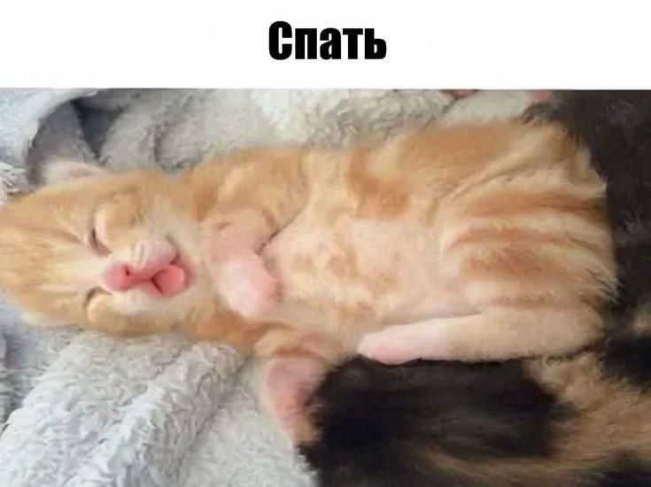 2025 12 16 01 02 561807799461