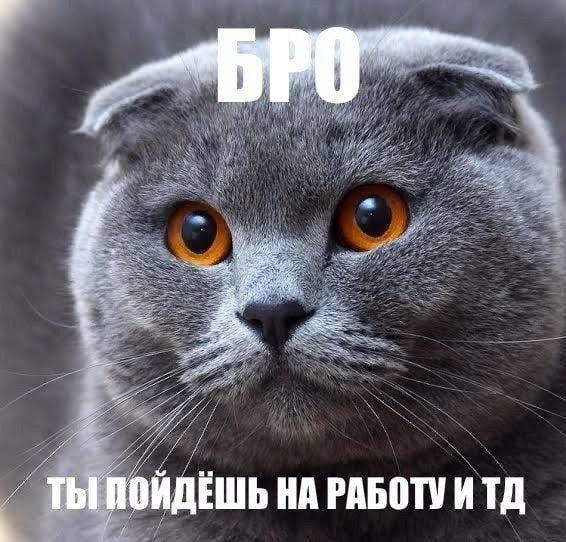 2025 12 16 01 02 581807799461