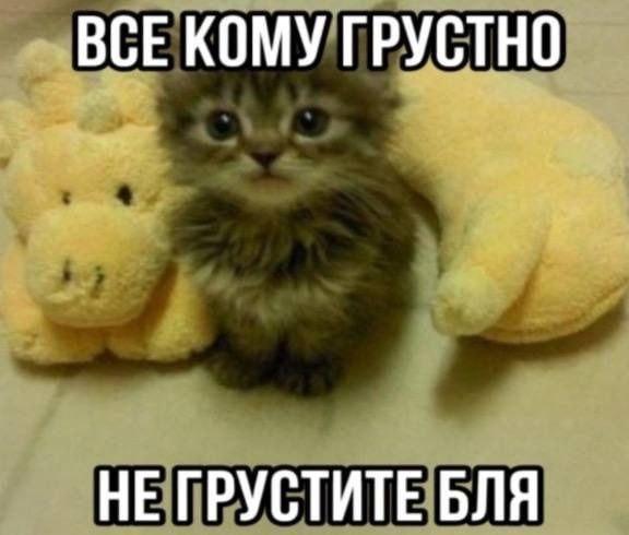 2025 12 16 01 03 001807799461