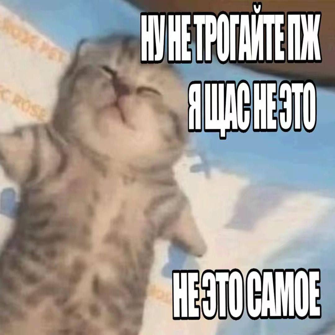 2025 12 24 03 52 151807799461