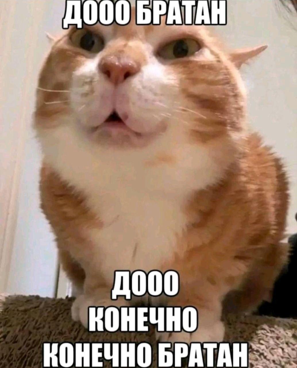 2026 03 02 16 23 281807799461