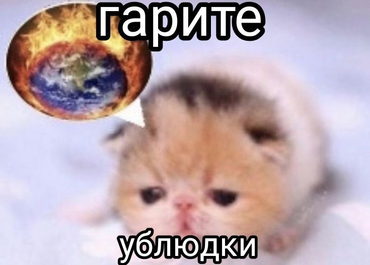 6818bcd989861 1000008587