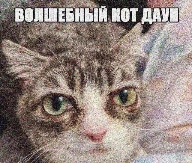 68302e3d931eb 1000008904