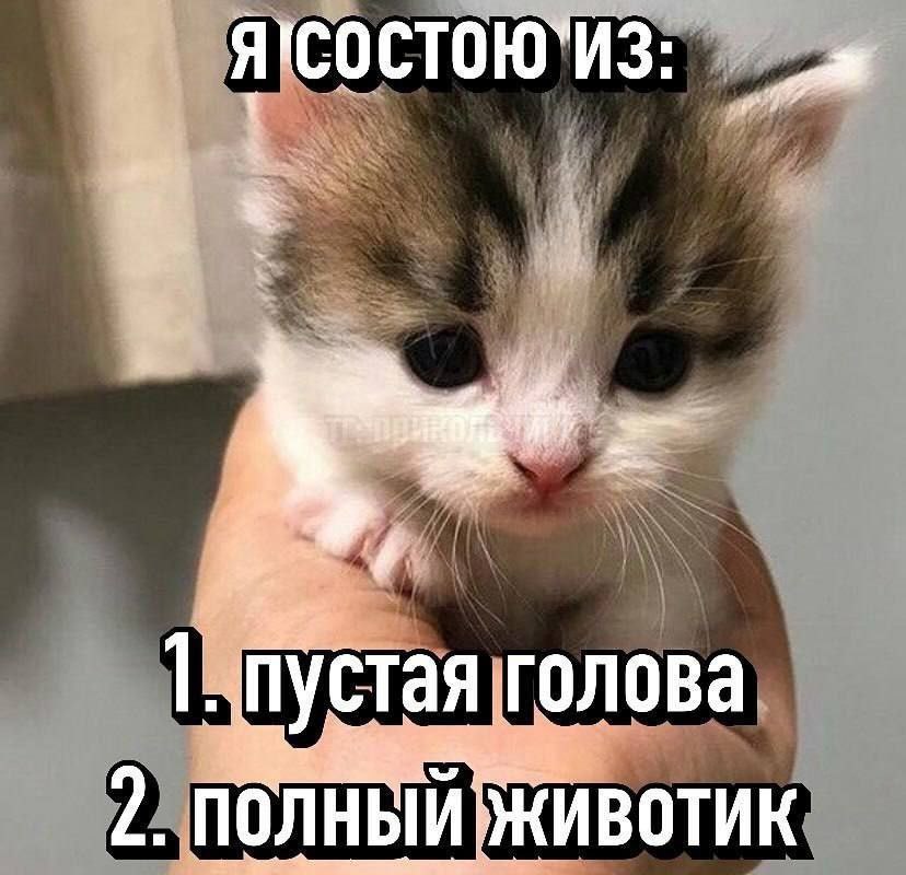 683c306f6ea1a 1000009100