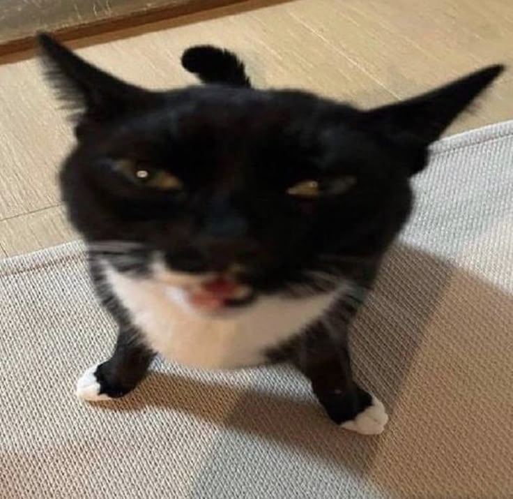 F9b6ee085996dee0e22ddc52dda03ac2