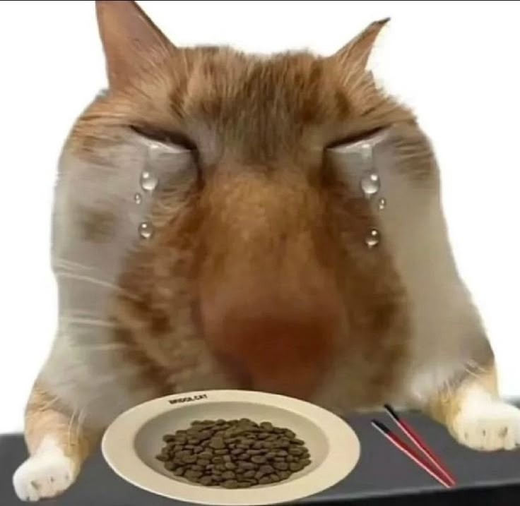 SVN8TzLTOeU